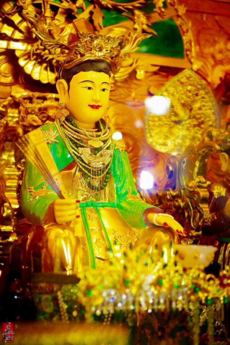 Cô Bé Ngai Vàng